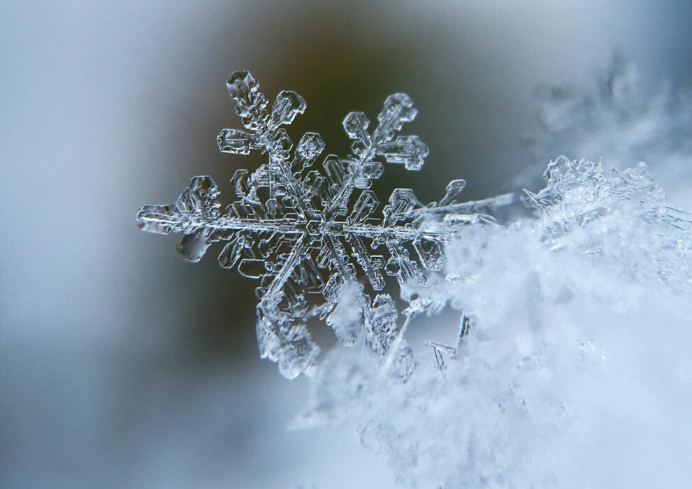 BSD Winterdienst